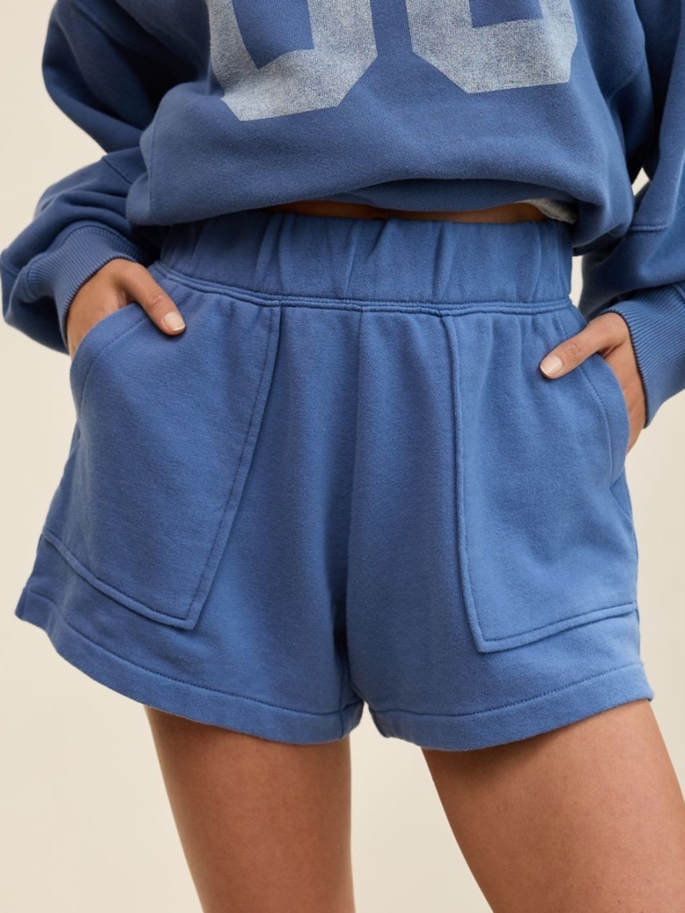 aerie - NWT Go To Fleece Shorts - M